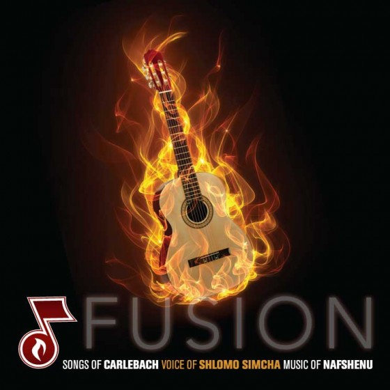 Nafshenu-Fusion-jacket-cover-in-jpg