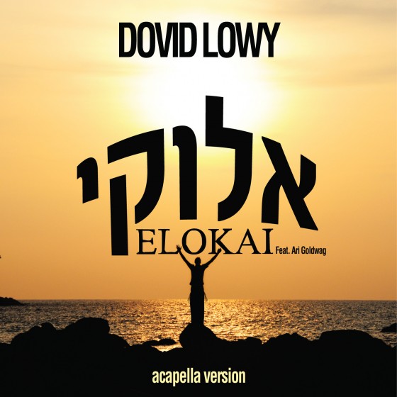 Dovid Lowy - Elokai Acapella Single
