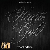 "לב זהב": הלהיט של סוליד גולד חוזר בגרסה ווקאלית באנגלית ובעברית 1